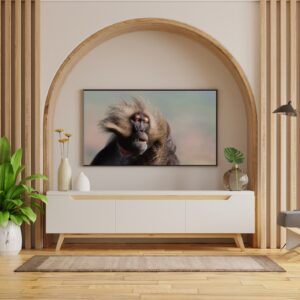 Gelada