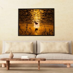 Tra luce e riflessi